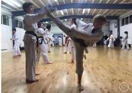 Image result for Phoenix Martial Arts