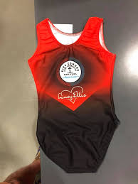 Image result for King Edmund Acro Gymnastics Club