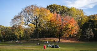 Image result for Prospect Park Beginner Jogging Sessions