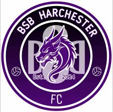 Image result for Harbertonford A F C