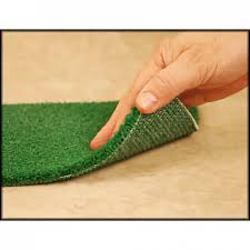 Image result for Astroturf