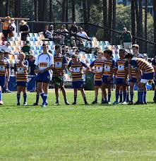 Image result for Eagle Rugby Union Football Club