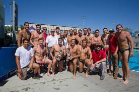 Image result for York University Swimming & Water Polo Club