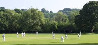 Image result for Hayfield Cricket Club