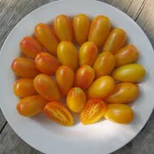 Afbeeldingsresultaat voor blushing yellow tomato