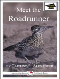 Image result for Reading Roadrunners
