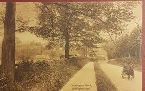 Image result for Wellingborough Swanspool Bowls Club