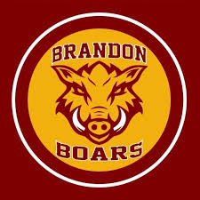 Image result for Brandon Cricket Club