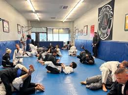 Image result for Bilsborrow Ju Jitsu Club