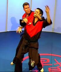 Image result for Total Body Defence Goshinkwai