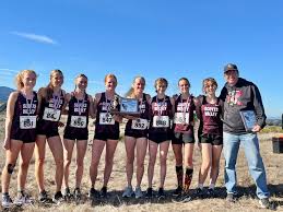 Image result for Falcon Sa Club