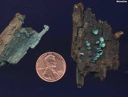 Attēlu rezultāti vaicājumam “Chlorociboria aeruginascens”