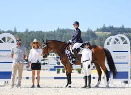 Image result for South Weylands Equestrian