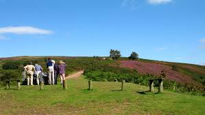 Image result for Over Stowey Cricket Club