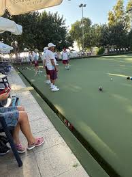 Image result for Nailsea Bowls Club