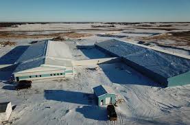 Image result for Ecurie Barnton