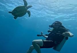 Image result for Scuba Fun
