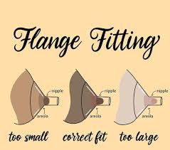 Image result for brust pumpe