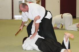 Image result for Basingstoke Aikido Club