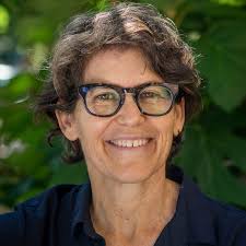 Image result for redexim tehron