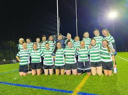Image result for Wolfe Tones Gaelic Athletic Club