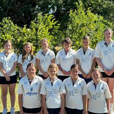 Image result for Yoxford Cricket Club