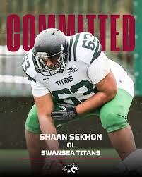 Image result for Warwick Wolves