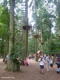 Image result for Go Ape! Thetford