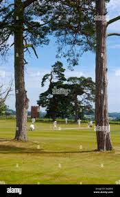 Image result for Bridgnorth Cricket Club