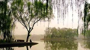 Image result for 2003早春