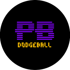 Image result for Berkshire Royals Dodgeball Club