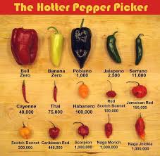 Afbeeldingsresultaat voor naga jolokia hot pepper