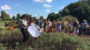 Image result for Cambridge Monarchs