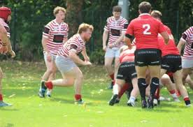 Image result for Ilkley Rugby Football Club