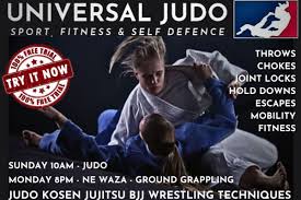 Image result for Universal Judo Academies