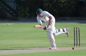 Image result for Shepherdswell Cricket Club