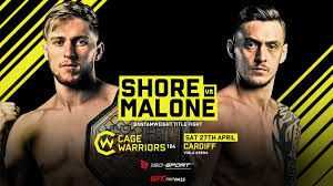 Image result for Cardiff Mma