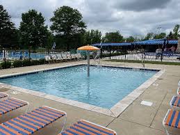 Image result for Downham & District Swimming Club