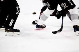 Image result for Havering Skater Hockey Club