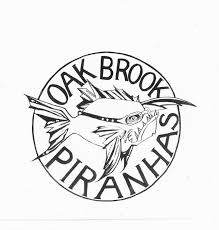 Image result for Sawston Piranhas Octopush Club