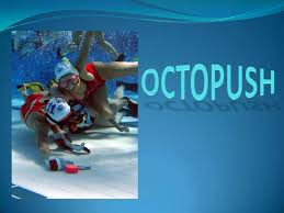 Image result for TAROT Octopush Club