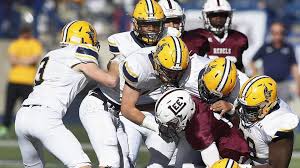 Image result for Midland Vikings