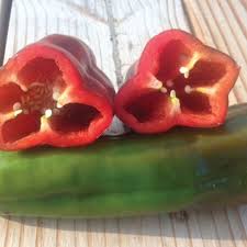 Afbeeldingsresultaat voor long red marconi sweet pepper