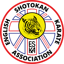 Image result for ZOKU SHOTOKAN KARATE (Baldock)