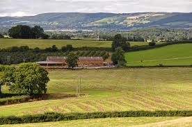 Image result for Taunton Deane