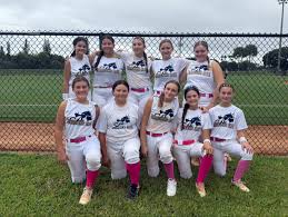 Image result for Dragons Softball Club
