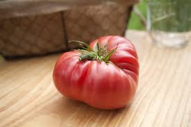 Afbeeldingsresultaat voor 1884 purple tomato