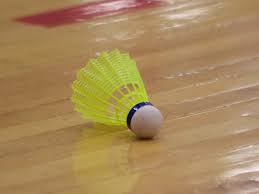 Image result for Bj Wanderers Badminton Club