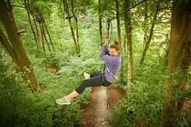 Image result for The Go Ape Experience (Swinley Forest)