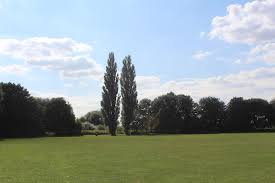 Image result for Godmanchester Town Cricket Club
